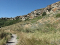 Head Smashed In Buffalo Jump